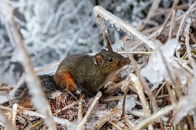 按照MTC评分 《宇宙机器人》将是TGA最大赢家